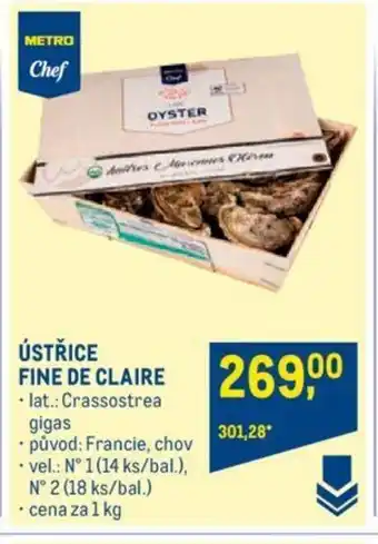 Makro ÚSTŘICE FINE DE CLAIRE nabídka