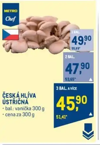 Makro ČESKÁ HLÍVA ÚSTŘIČNÁ nabídka