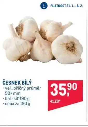 Makro ČESNEK BÍLÝ nabídka