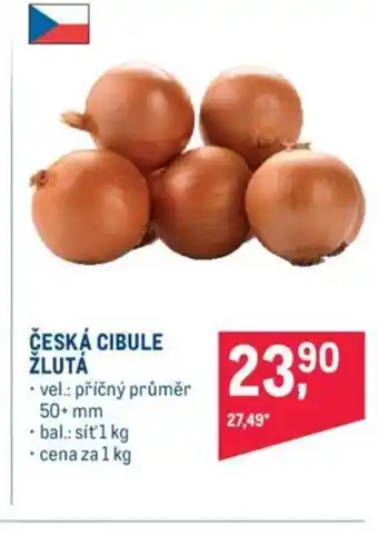 Makro ČESKÁ CIBULE ŽLUTÁ nabídka