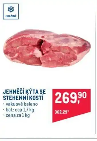 Makro JEHNĚČÍ KÝTA SE STEHENNÍ KOSTI nabídka