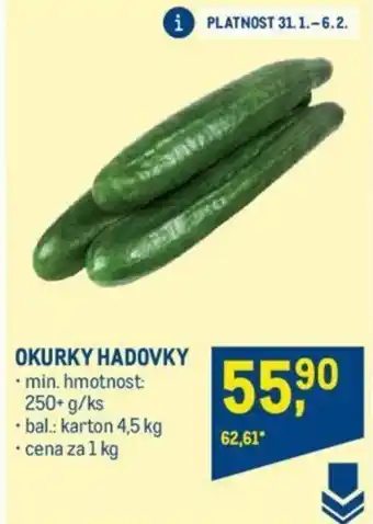 Makro OKURKY HADOVKY nabídka