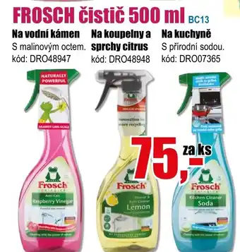 EVA FROSCH čistič 500 ml nabídka