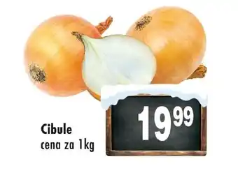 Qanto Cibule nabídka