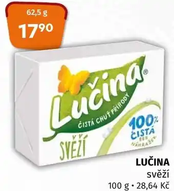 Terno LUČINA nabídka