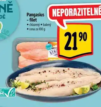 Albert Pangasius - filet 100 g nabídka