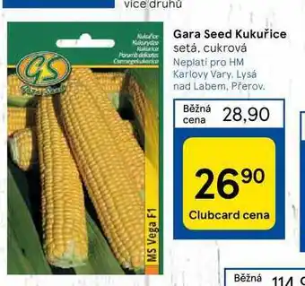 Tesco Gara Seed Kukuřice nabídka
