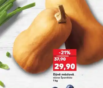 Kaufland Dýně máslová nabídka