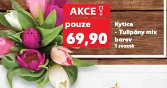 Kaufland Kytice - Tulipány mix barev nabídka