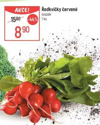 Globus Ředkvičky červené nabídka