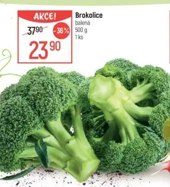 Globus Brokolice nabídka