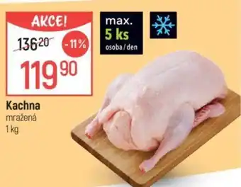 Globus Kachna nabídka