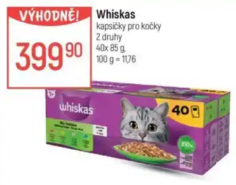 Globus Whiskas nabídka
