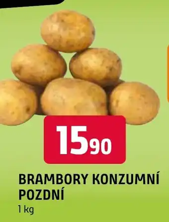 Terno BRAMBORY KONZUMNÍ POZDNÍ nabídka