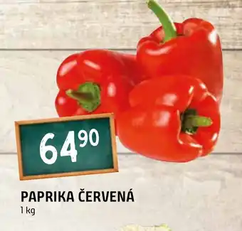 Terno PAPRIKA ČERVENÁ nabídka