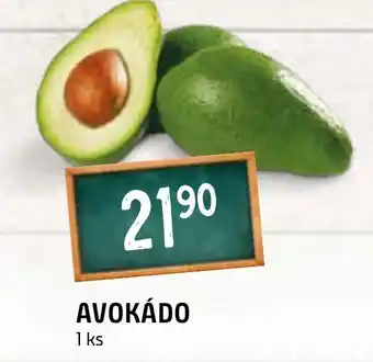 Terno AVOKÁDO nabídka