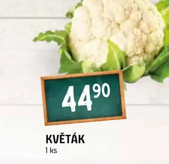 Terno KVĚTÁK nabídka