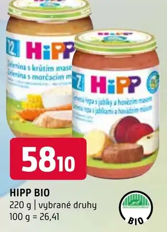 Terno HIPP BIO nabídka
