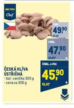 Makro Hlíva ústřičná nabídka