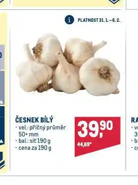 Makro Česnek bílý nabídka