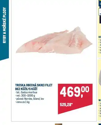 Makro Treska obecná nabídka