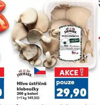 Kaufland Hlíva ústříčná nabídka