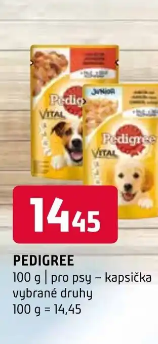 Terno PEDIGREE nabídka