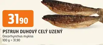 Trefa PSTRUH DUHOVÝ CELÝ UZENÝ nabídka