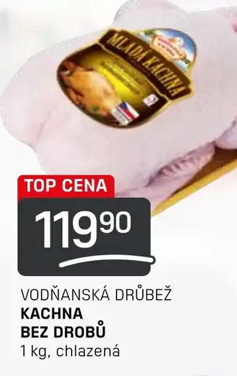 Flop VODŇANSKÁ DRŮBEŽ KACHNA BEZ DROBŮ nabídka