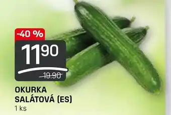 Flop OKURKA SALÁTOVÁ (ES) nabídka