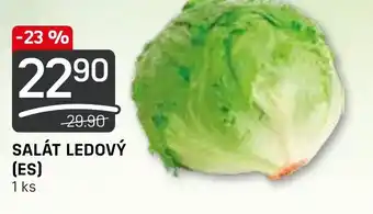 Flop SALÁT LEDOVÝ (ES) nabídka