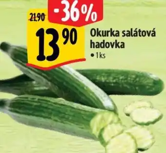 Albert Okurka salátová hadovka nabídka