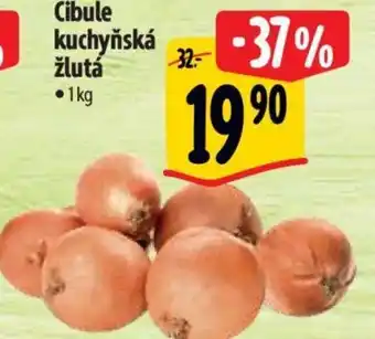 Albert Cibule kuchyňská žlutá nabídka