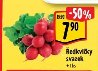 Albert Ředkvičky svazek nabídka