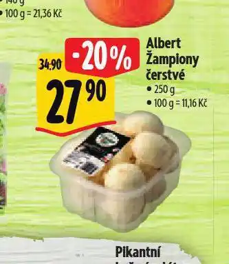 Albert Albert žampiony čerstvé nabídka