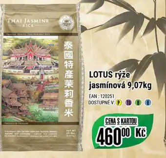 Tamda Foods LOTUS rýže jasmínová 9,07kg nabídka