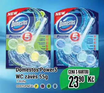 Domestos Power5 WC závěs 55g