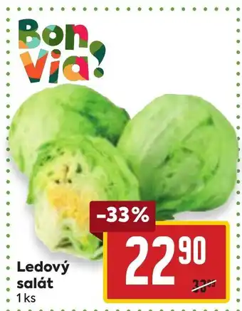 Billa Ledový salát nabídka