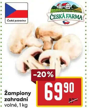 Billa žampiony zahradní nabídka