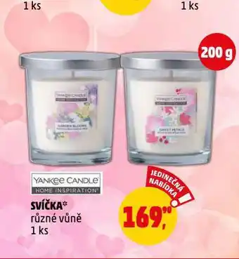 Penny Market Svíčka nabídka