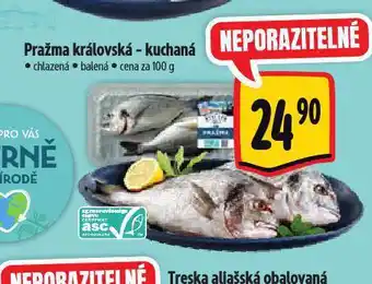 Albert Pražma královská nabídka