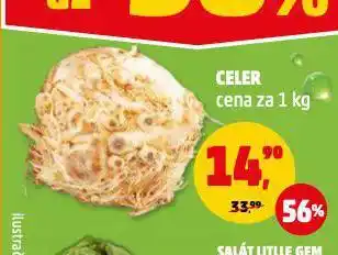 Penny Market Celer nabídka