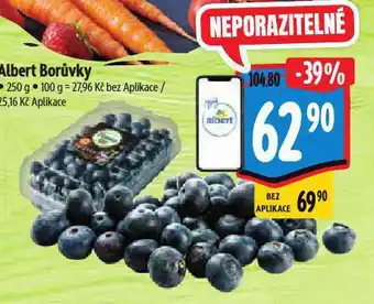Albert Borůvky nabídka