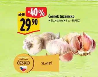 Albert Česnek nabídka