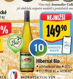 Albert Hibernal bio nabídka