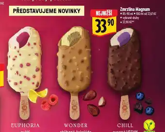 Albert Zmrzlina magnum nabídka