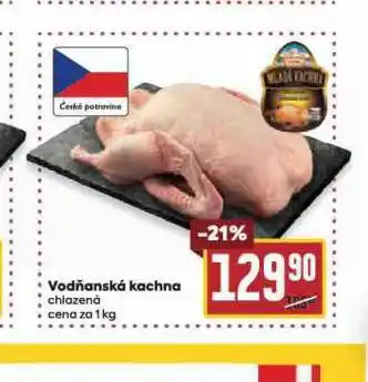 Billa Vodňanská kachna nabídka