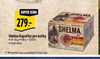 Albert Shelma kapsičky pro kočky nabídka