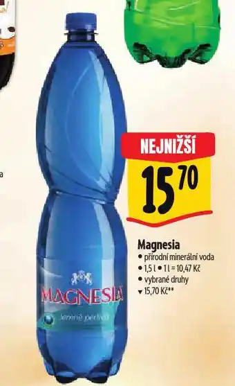 Albert Magnesia nabídka