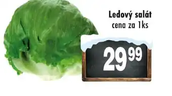 Qanto Ledový salát nabídka